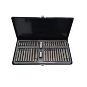 Набор бит с битодержателями, 42пр.10мм