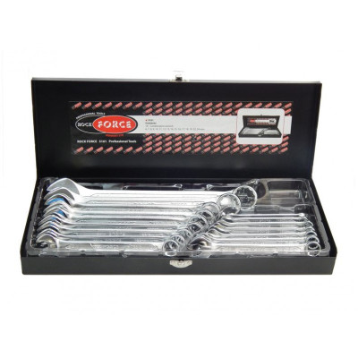 Набор ключей комбинированных 16пр.(6-19,22, 24мм),в металл. кейсе Набор ключей комбинированных 16пр.(6-19,22, 24мм),в металл. кейсе